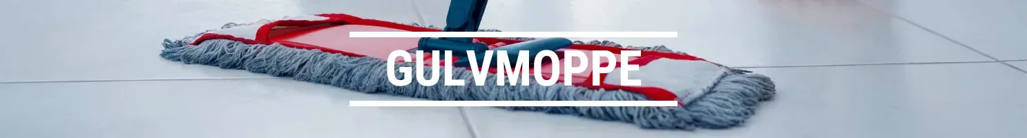 GULVMOPPE