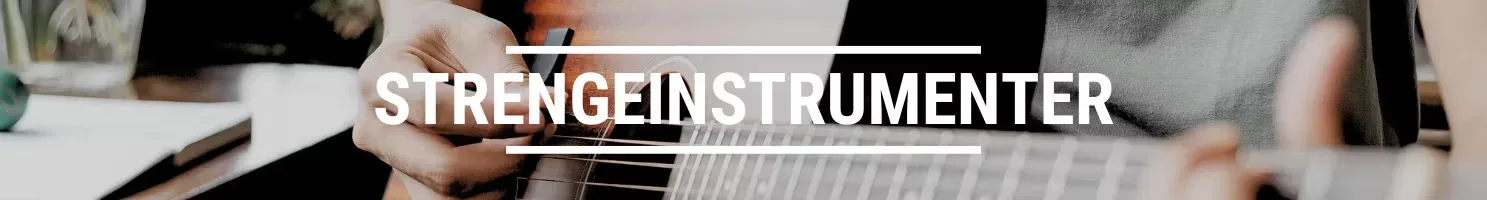 Strengeinstrumenter banner