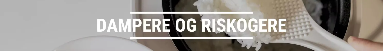 DAMPERE OG RISKOGERE