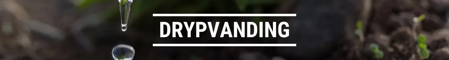 DRYPVANDING
