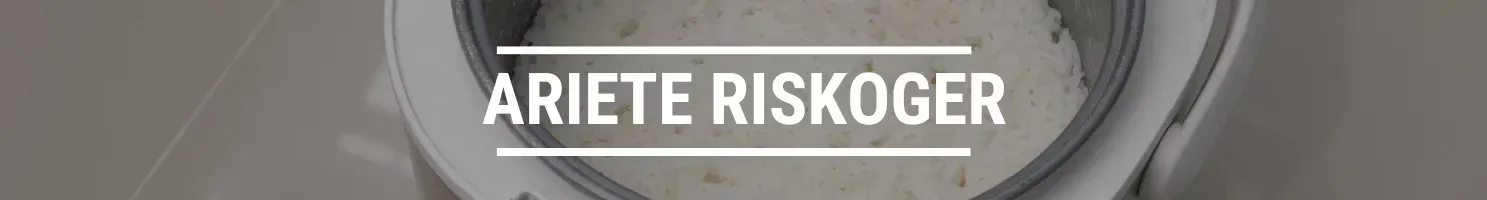 ARIETE RISKOGER