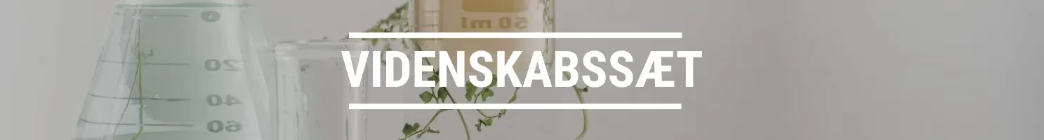 VIDENSKABSSÆT