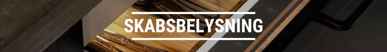 SKABSBELYSNING