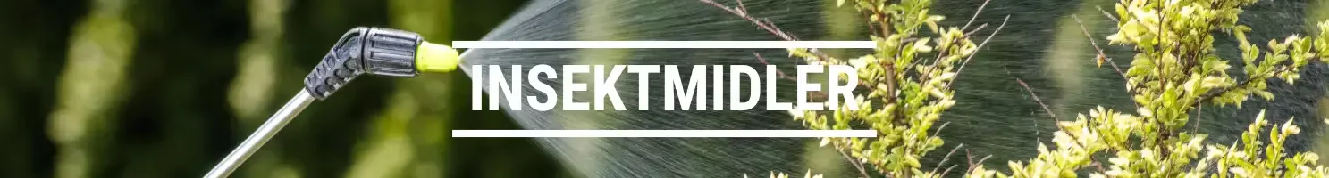 INSEKTMIDLER