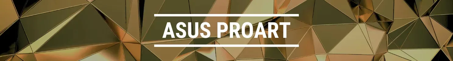 ASUS PROART