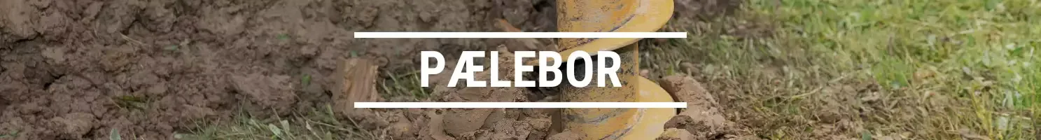 PÆLEBORD