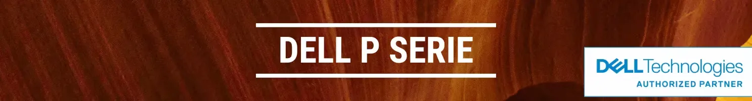 Dell P serie banner.
