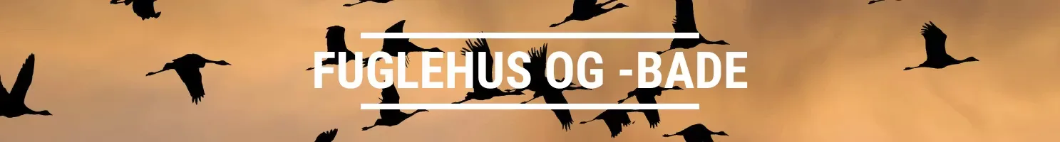 FUGLEHUS OG -BADE
