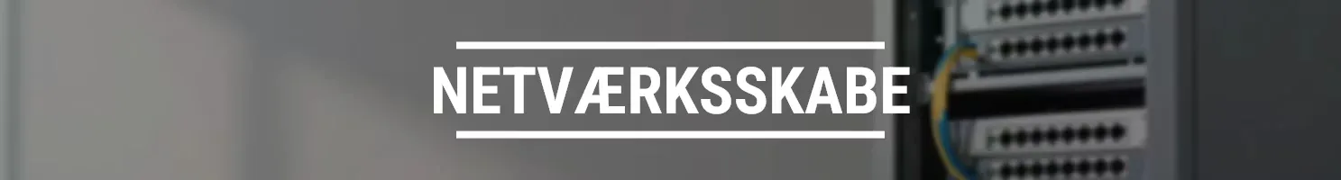 Netværksskabe
