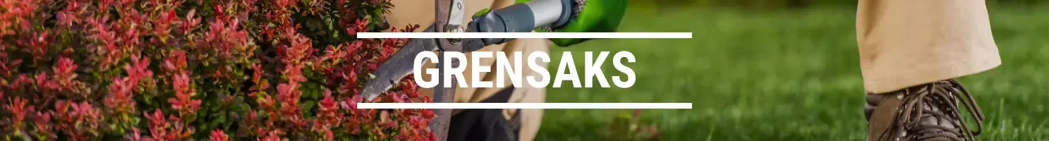 GRENSAKS