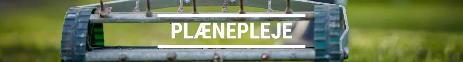 PLÆNEPLEJE