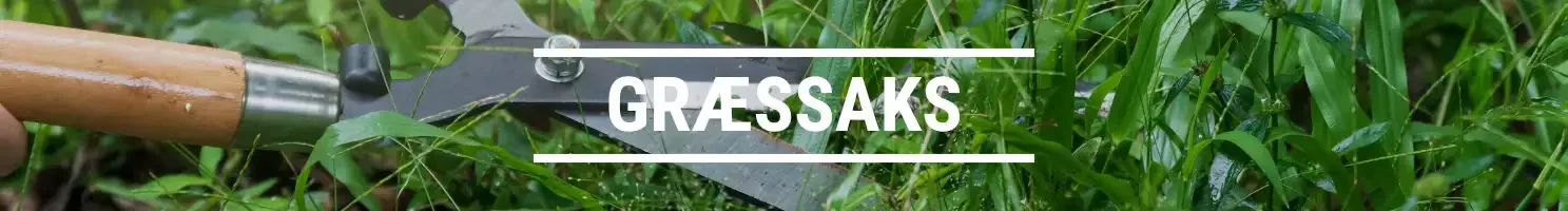 GRÆSSAKS