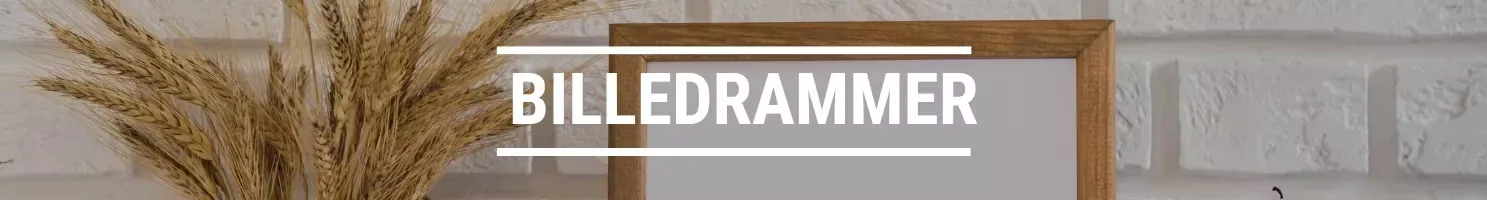 BILLEDRAMMER