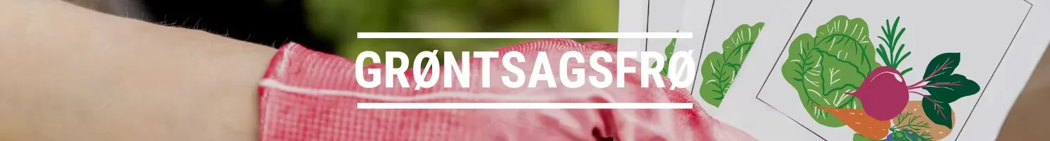 GRØNTSAGSFRØ