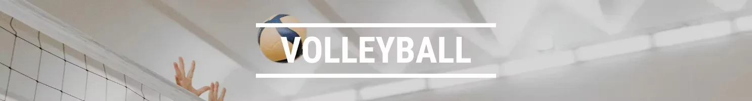 Volleyball banner