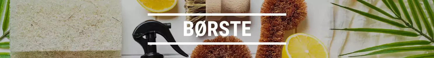 BØRSTE