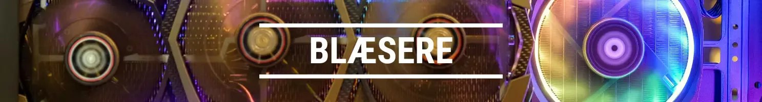 Blæsere banner.