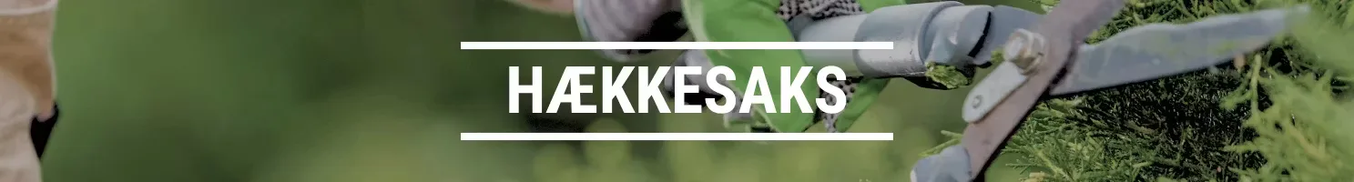 HÆKKESAKS