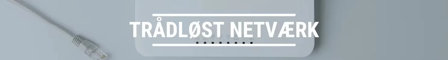 trådløst netværk