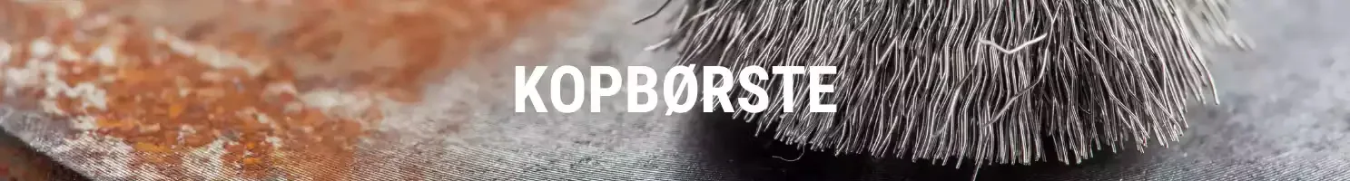 KOPBØRSTE