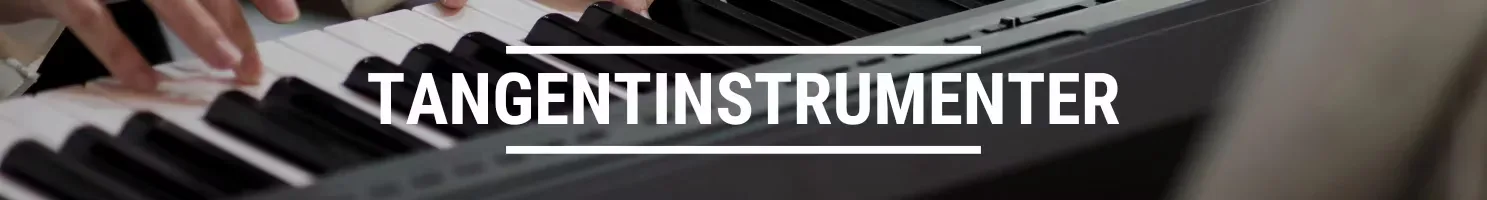 Tan­gen­tin­stru­men­ter banner