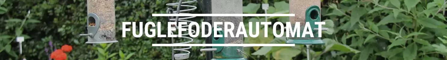 FUGLEFODERAUTOMAT