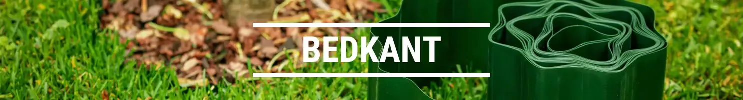 BEDKANT