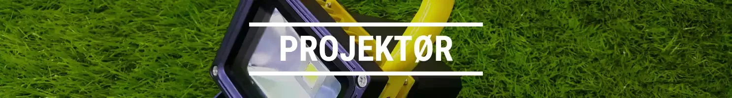 PROJEKTØR
