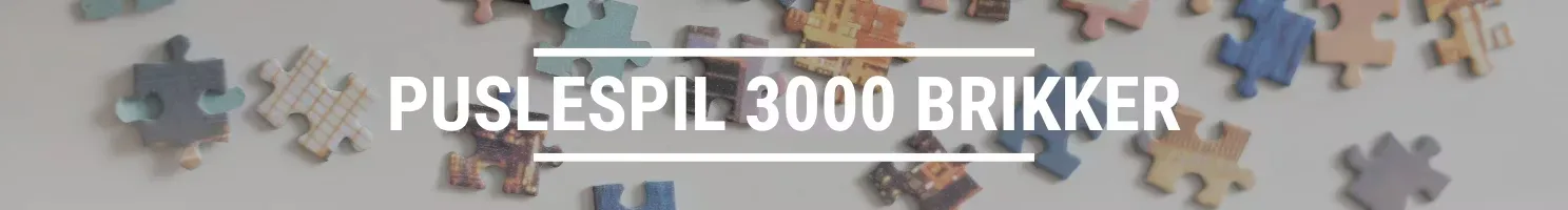 KLASSISKE 3000 banner